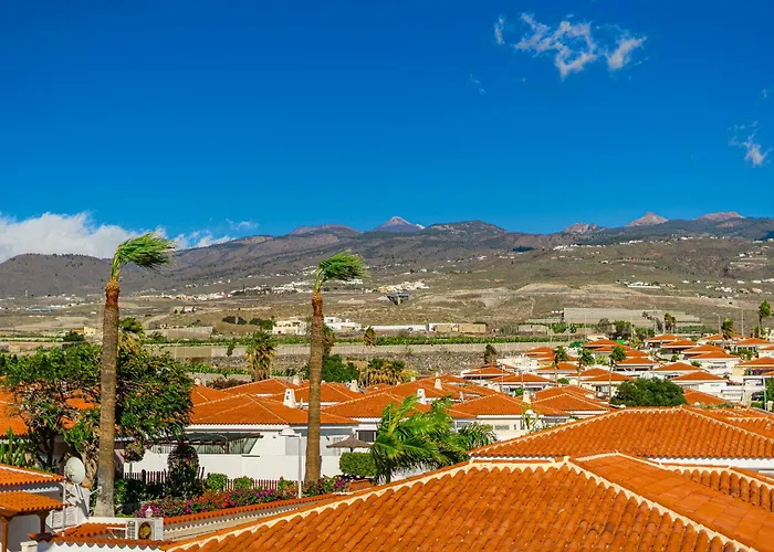 Duplex C8 * אדחה